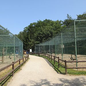 Birds of Prey Aviaries