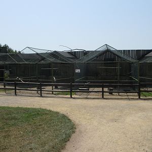 Birds of Prey Aviaries