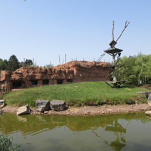 Lion-tailed Macaque Exhibit
