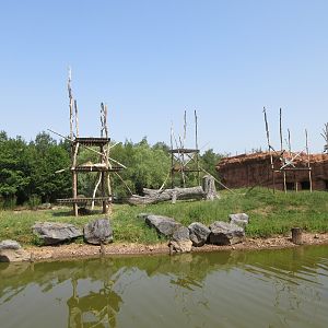 Orangutan Exhibit