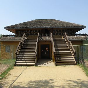 Giraffe Viewing Platform
