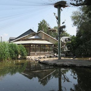 Waterfowl Aviary