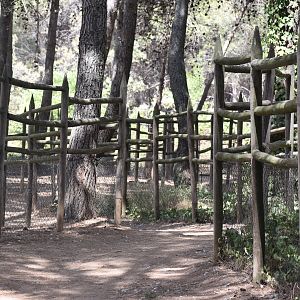 View from the mountain goats/deer area