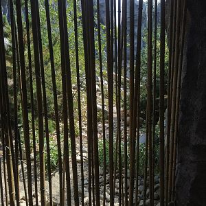 Snow Leopard Containment