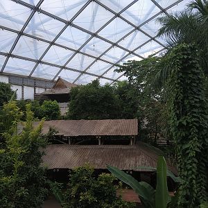 Gondwanaland