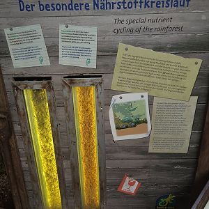 Gondwanaland Interpretation