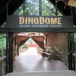 Dino Dome - indoor playground