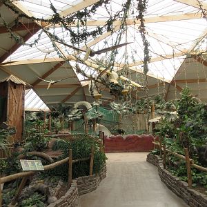 Dino Dome - indoor playground