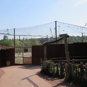 Greater Flamingo Aviary (New in 2019)