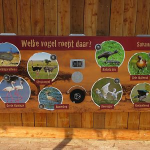 Greater Flamingo Aviary (New in 2019)