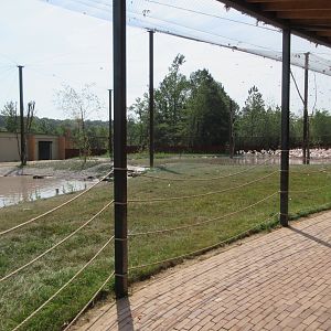 Greater Flamingo Aviary - 400 birds huddled in the corner