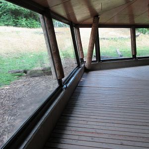 Lowland Gorilla/Black Crested Mangabey Exhibit