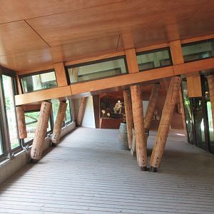 Lowland Gorilla/Black Crested Mangabey Exhibit - access chute