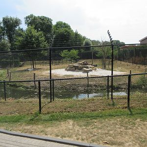 White Lion Exhibit