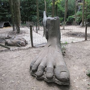 Pigs and a huge foot statue!