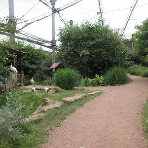 1.5-Acre Waterfowl Aviary