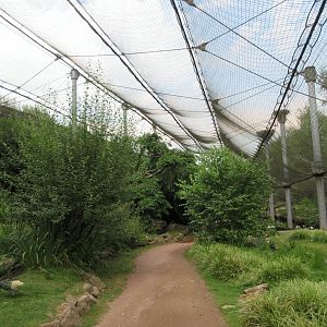 1.5-Acre Waterfowl Aviary