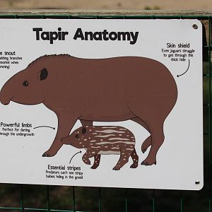 Tapir sign