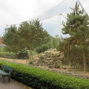 African Penguin Exhibit (rear view)