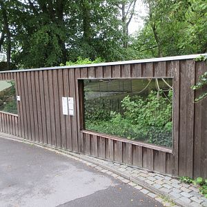Common Marmoset Exhibit