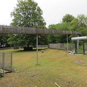 South American Exhibit (with Squirrel Monkey passage)