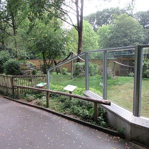Red Panda Exhibit