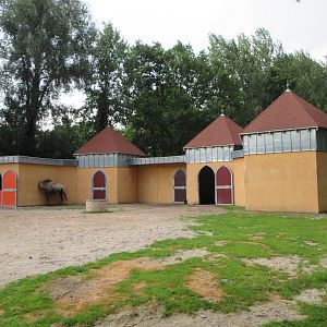 Bactrian Camel/Ankole Cattle Exhibit