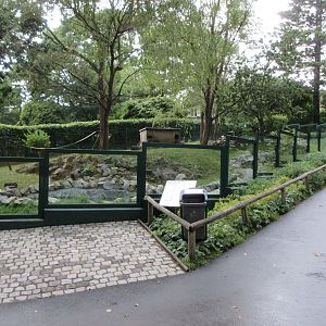 Raccoon/Small-clawed Otter Exhibit