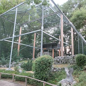 Bearded Vulture Aviary