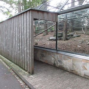 Barbary Macaque Exhibit
