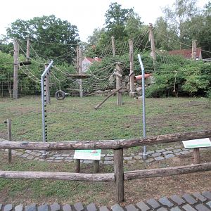 Tufted Capuchin Exhibit