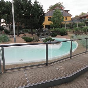 African Penguin Exhibit