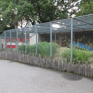 Shorebirds Aviary