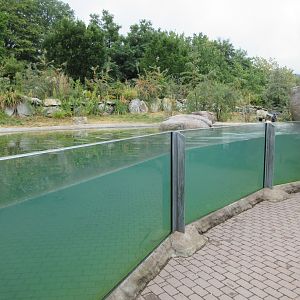African Penguin Exhibit