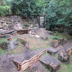 Striped Hyena Exhibit #2