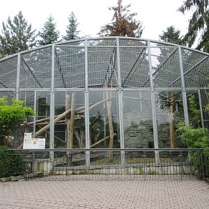 Barbary Macaque Exhibit