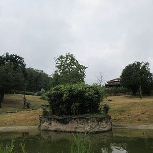 African Elephant Exhibit