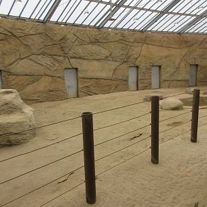 African Elephant Exhibit - Barn