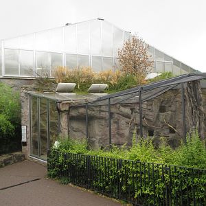 African Elephant Barn + Bush Hyrax Exhibit