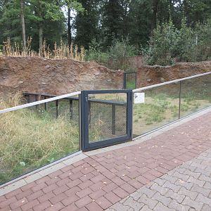 Common Hamster + European Ground Squirrel Exhibits