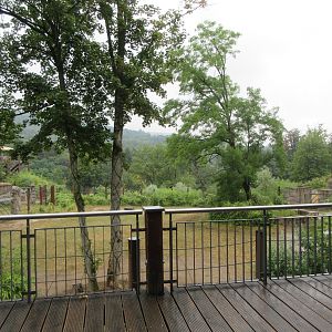 African Elephant Exhibit