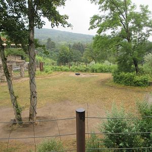 African Elephant Exhibit
