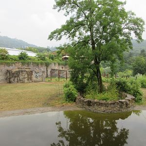 African Elephant Exhibit