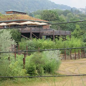African Elephant Exhibit - Restaurant