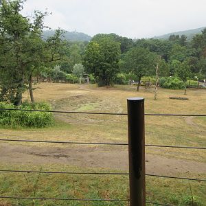 African Elephant Exhibit