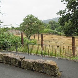 African Elephant Exhibit
