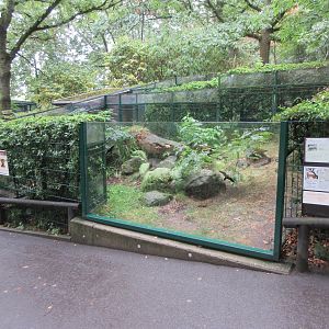 European Mink Exhibit