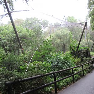 Walk-through Waterfowl Aviary