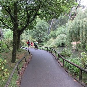 Walk-through Waterfowl Aviary