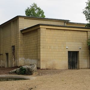 Black Rhino/Common Hippo House